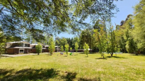 Cabañas con piscina en Molco